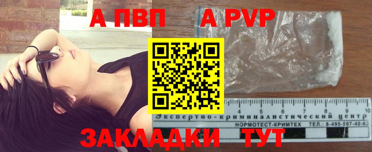 A-PVP СК КРИС Светлоград